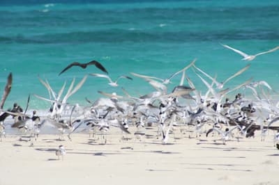 Premiers pas à Zanzibar, vue 8