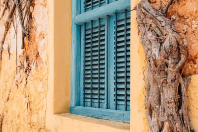 Culture et plongée, vue 5