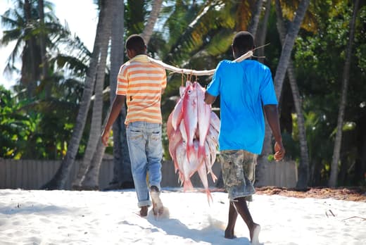 Premiers pas à Zanzibar, vue 4