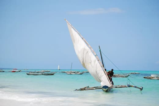 Premiers pas à Zanzibar, vue 3
