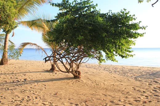 Douceur de vivre des plages de Zanzibar, vue 8