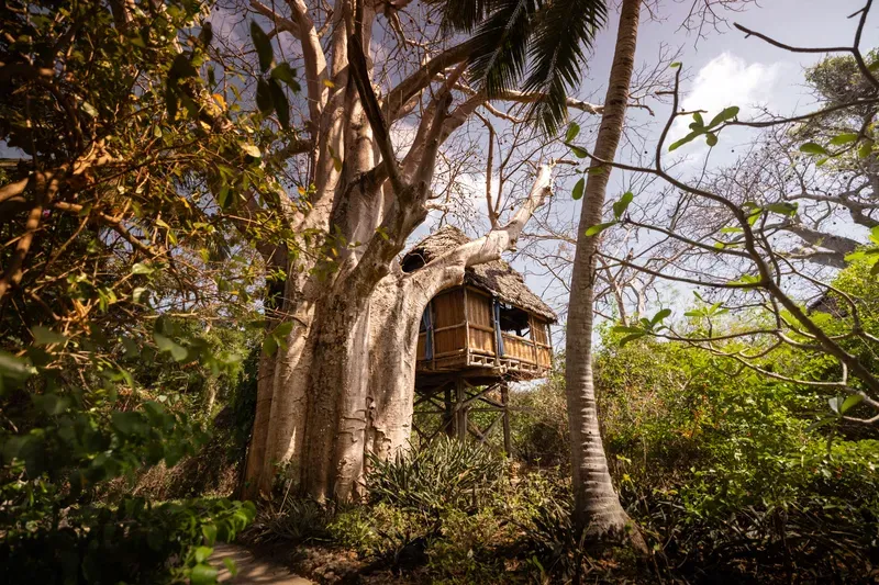 Chole Mjini Treehouses Lodge, Île de Mafia
