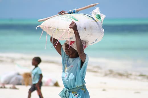 Premiers pas à Zanzibar, vue 7