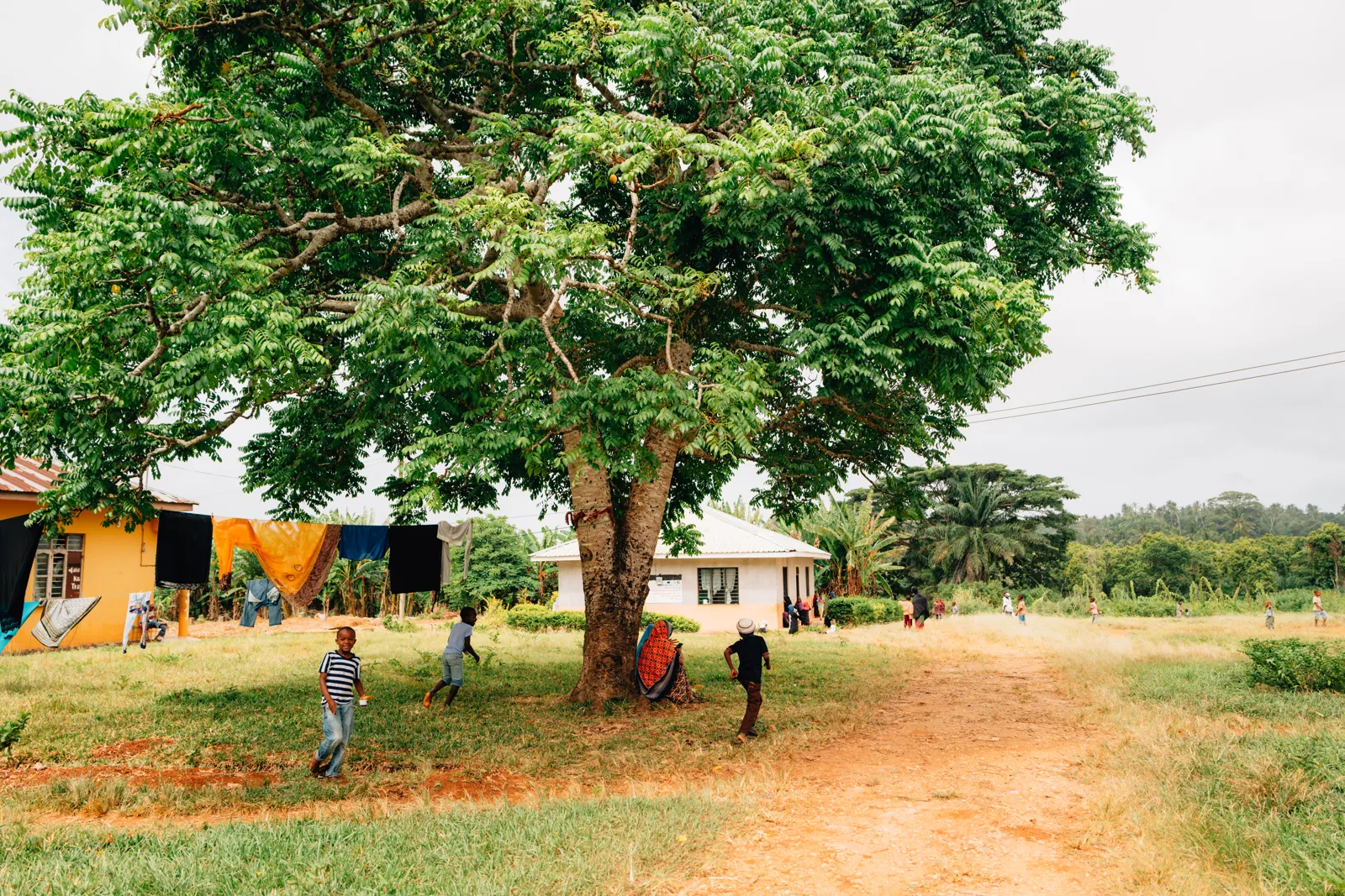 Enfants jouant sous un arbre dans un village de Zanzibar