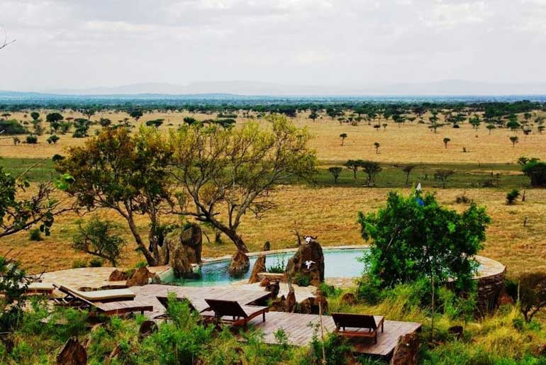 Safari de luxe en Tanzanie