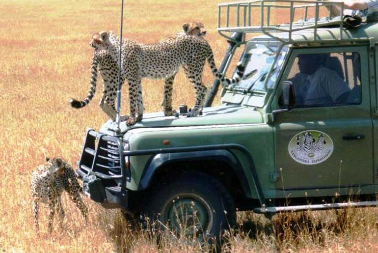 safari tanzanie zanzibar carrefour